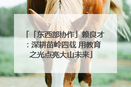 「东西部协作」赖良才：深耕苗岭四载 用教育之光点亮大山未来