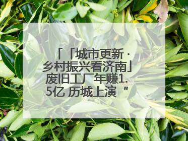 「城市更新 ·乡村振兴看济南」废旧工厂年赚1.5亿 历城上演“城市进化论”