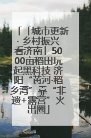 「城市更新· 乡村振兴看济南」5000亩稻田玩起黑科技 济阳“黄河·稻乡湾”靠“非遗+露营”火出圈