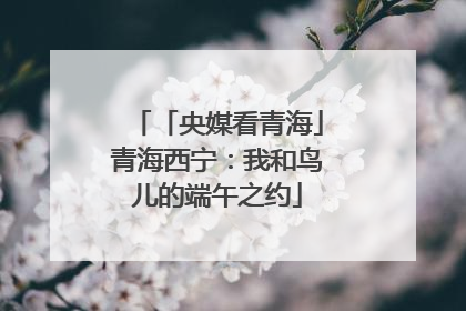「央媒看青海」青海西宁：我和鸟儿的端午之约