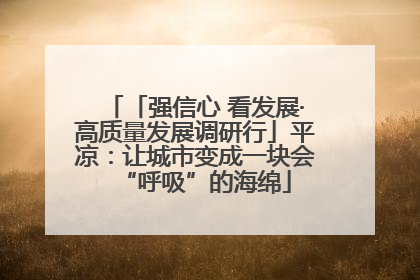 「强信心 看发展·高质量发展调研行」平凉：让城市变成一块会“呼吸”的海绵