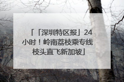 「深圳特区报」24小时！岭南荔枝乘专线 枝头直飞新加坡