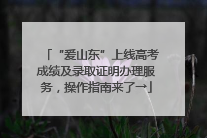 “爱山东”上线高考成绩及录取证明办理服务，操作指南来了→