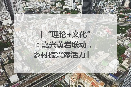 “理论+文化”：嘉兴黄岩联动，乡村振兴添活力