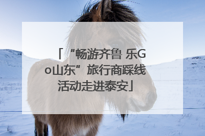“畅游齐鲁 乐Go山东”旅行商踩线活动走进泰安