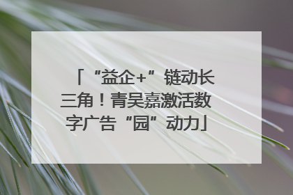 “益企+”链动长三角！青吴嘉激活数字广告“园”动力