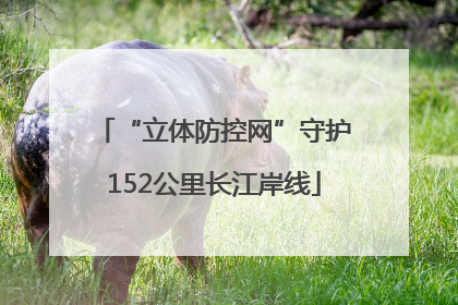 “立体防控网”守护152公里长江岸线