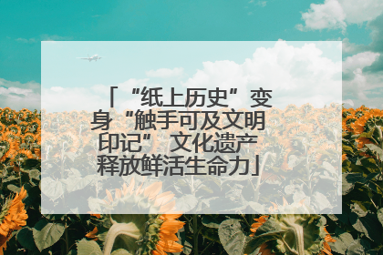 “纸上历史”变身“触手可及文明印记” 文化遗产释放鲜活生命力