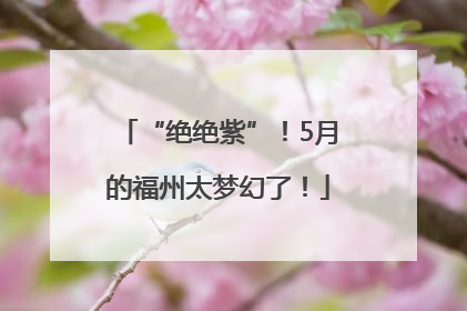 “绝绝紫”！5月的福州太梦幻了！