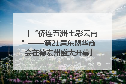 “侨连五洲·七彩云南”——第21届东盟华商会在德宏州盛大开幕