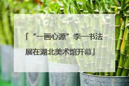“一画心源”李一书法展在湖北美术馆开幕