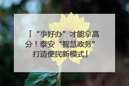 “事好办”才能拿高分！泰安“智慧政务”打造便民新模式
