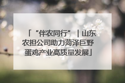 “伴农同行”｜山东农担公司助力菏泽巨野蛋鸡产业高质量发展