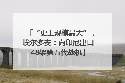 “史上规模最大”，埃尔多安：向印尼出口48架第五代战机