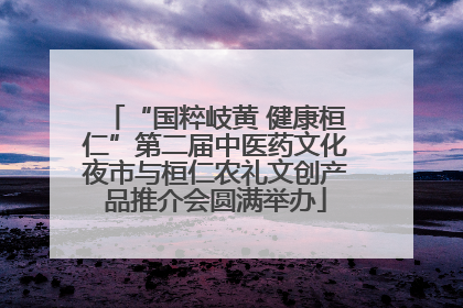 “国粹岐黄 健康桓仁”第二届中医药文化夜市与桓仁农礼文创产品推介会圆满举办