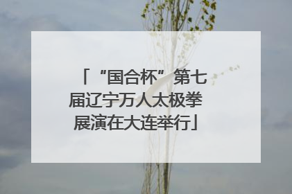 “国合杯”第七届辽宁万人太极拳展演在大连举行