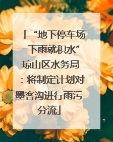 “地下停车场一下雨就积水” 琼山区水务局：将制定计划对墨客沟进行雨污分流