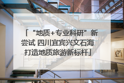 “地质+专业科研”新尝试 四川宜宾兴文石海打造地质旅游新标杆
