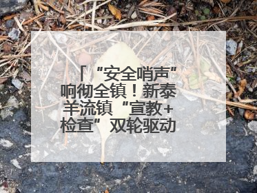 “安全哨声”响彻全镇！新泰羊流镇“宣教+检查”双轮驱动筑牢安全防线