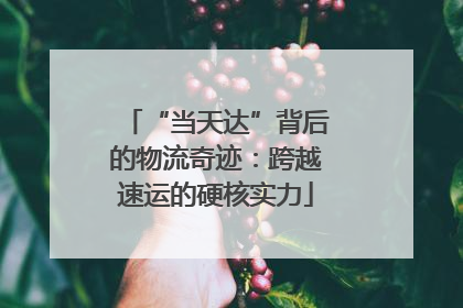 “当天达”背后的物流奇迹：跨越速运的硬核实力