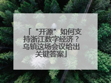 “开源”如何支持浙江数字经济？乌镇这场会议给出关键答案