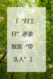 “打工仔”逆袭致富“带头人”