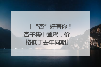 “杏”好有你！杏子集中登鹭，价格低于去年同期
