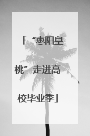 “枣阳皇桃”走进高校毕业季