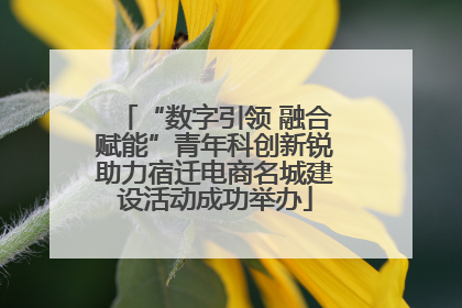 “数字引领 融合赋能”青年科创新锐助力宿迁电商名城建设活动成功举办