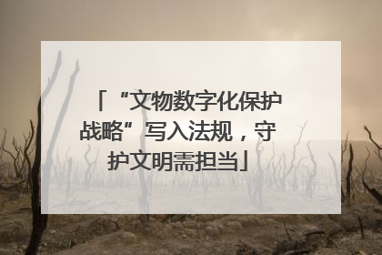 “文物数字化保护战略”写入法规，守护文明需担当