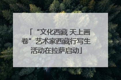 “文化西藏 天上画卷”艺术家西藏行写生活动在拉萨启动