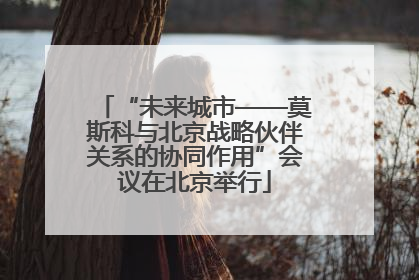 “未来城市——莫斯科与北京战略伙伴关系的协同作用”会议在北京举行