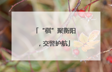 “棋”聚衡阳，交警护航