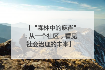 “森林中的麻雀”：从一个社区，看见社会治理的未来