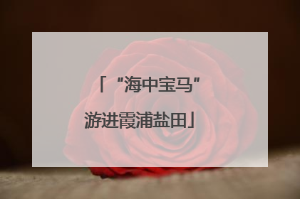 “海中宝马”游进霞浦盐田