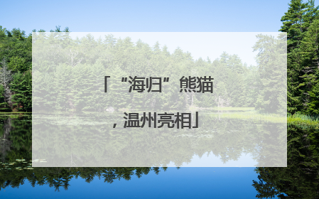 “海归”熊猫，温州亮相