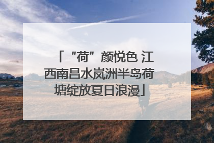 “荷”颜悦色 江西南昌水岚洲半岛荷塘绽放夏日浪漫