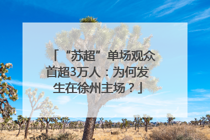 “苏超”单场观众首超3万人：为何发生在徐州主场？