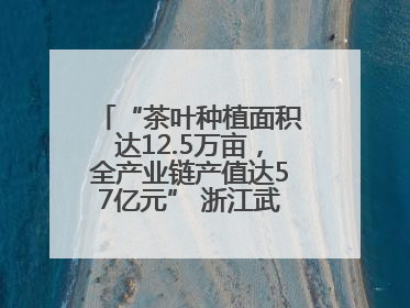 “茶叶种植面积达12.5万亩，全产业链产值达57亿元” 浙江武义茶产业全链发展“加速度”