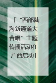 “西部陆海新通道大合唱”主题传播活动在广西启动