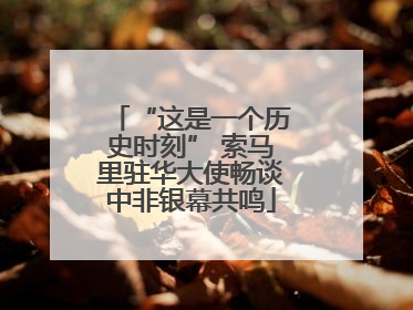 “这是一个历史时刻” 索马里驻华大使畅谈中非银幕共鸣