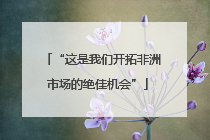 “这是我们开拓非洲市场的绝佳机会”