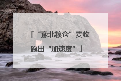 “豫北粮仓”麦收跑出“加速度”