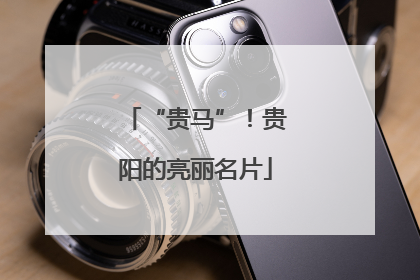 “贵马”！贵阳的亮丽名片