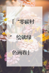 “零碳村” 绘就绿色画卷