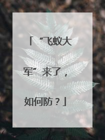 “飞蚁大军”来了，如何防？