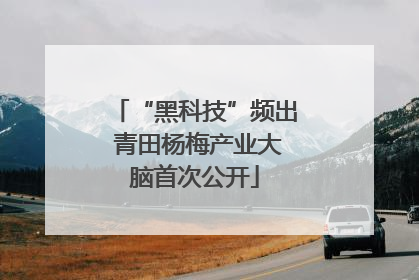 “黑科技”频出 青田杨梅产业大脑首次公开