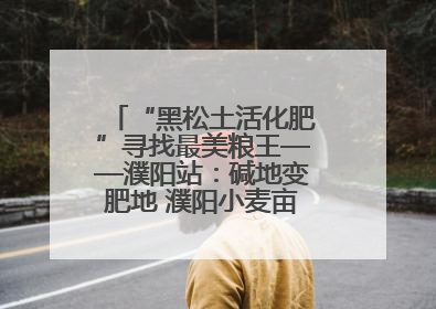 “黑松土活化肥”寻找最美粮王——濮阳站：碱地变肥地 濮阳小麦亩产1500多斤