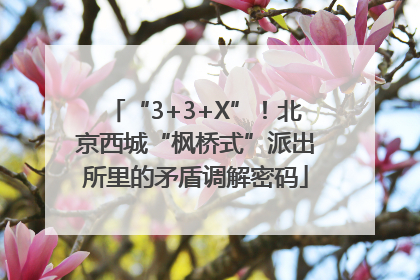 “3+3+X”！北京西城“枫桥式”派出所里的矛盾调解密码