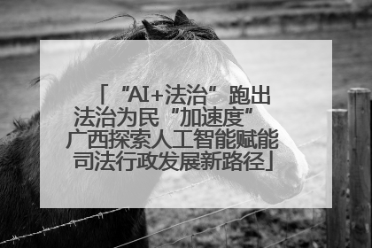 “AI+法治”跑出法治为民“加速度” 广西探索人工智能赋能司法行政发展新路径